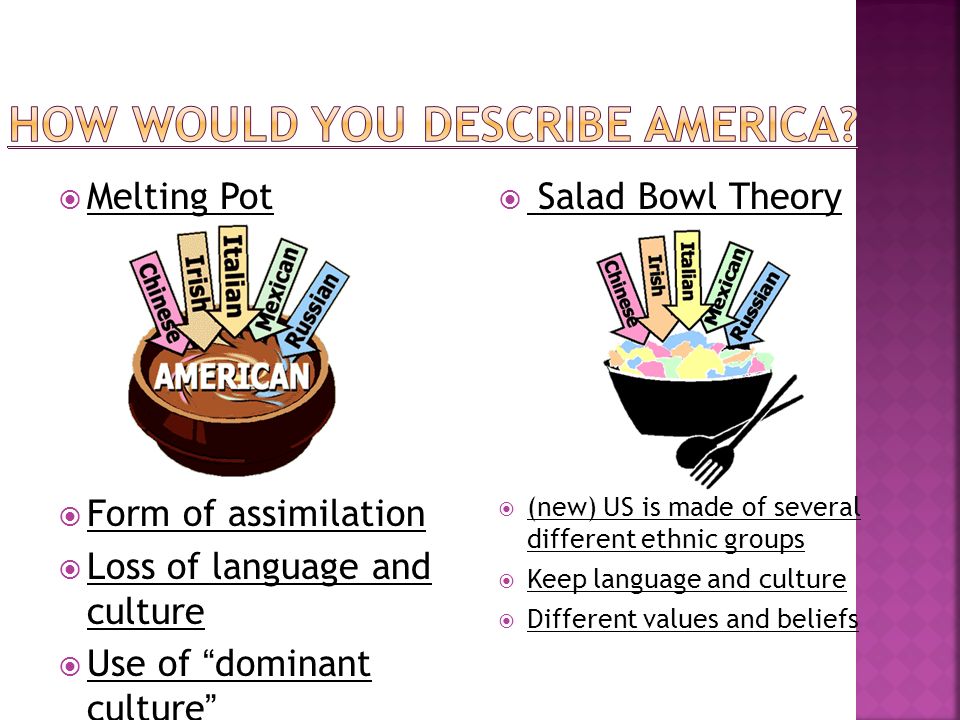 Melting Pot and Salad Bowl Essay